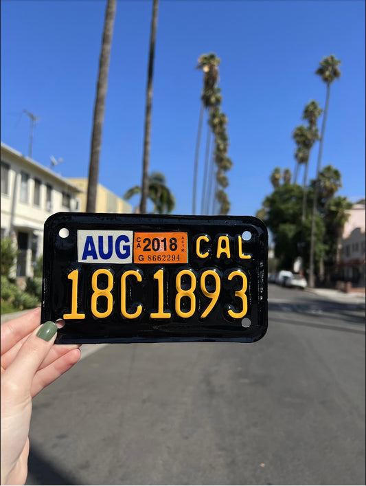 Custom Motorcycle License Plate