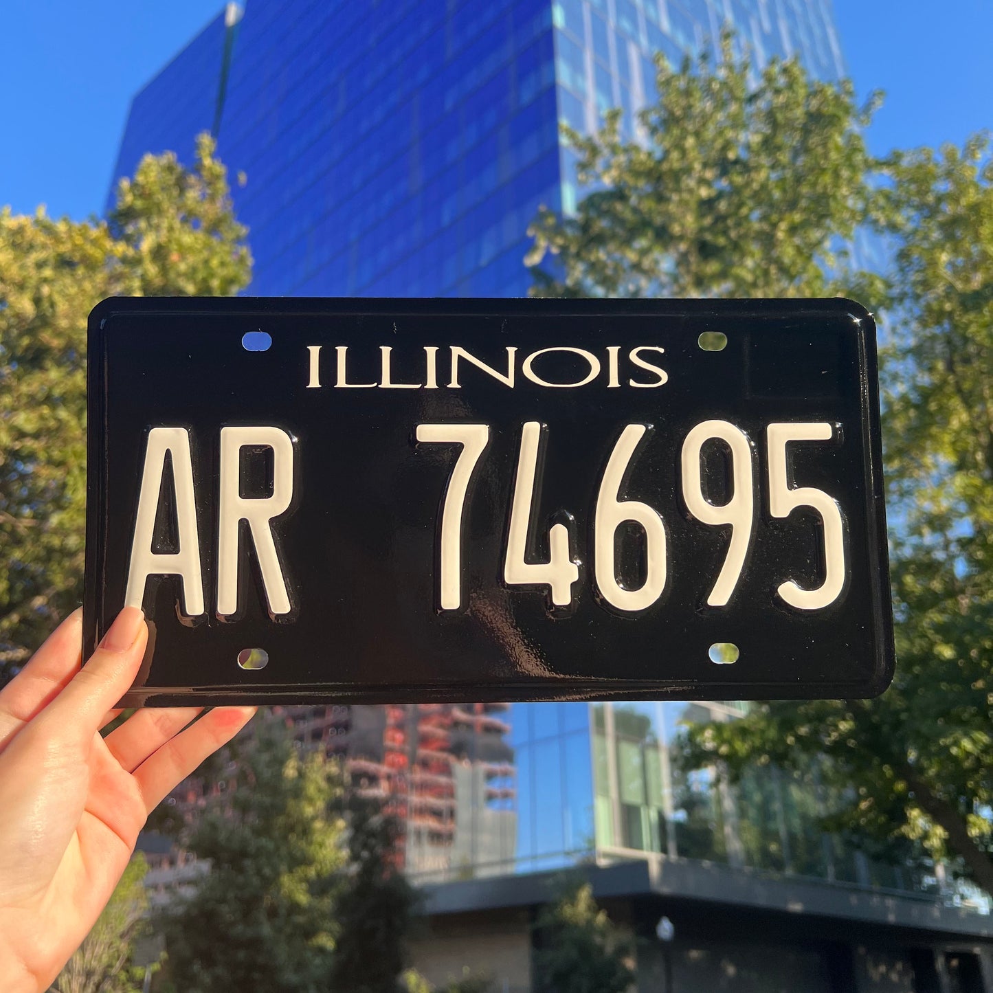 DIY Illinois License Plate Vinyl Wrap Kit Custom License plate