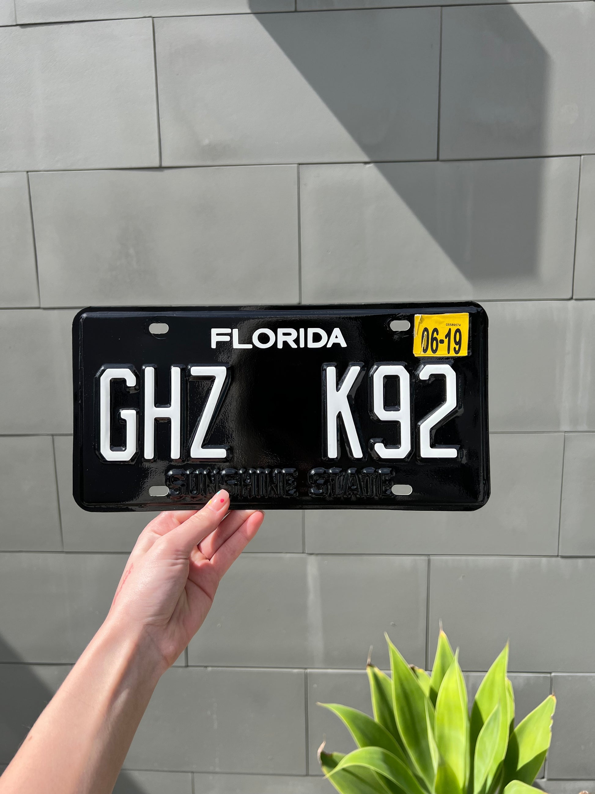Custom Florida License Plate